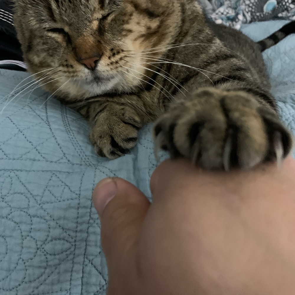 Meet your Posher, Drew